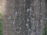 image of grave number 954306